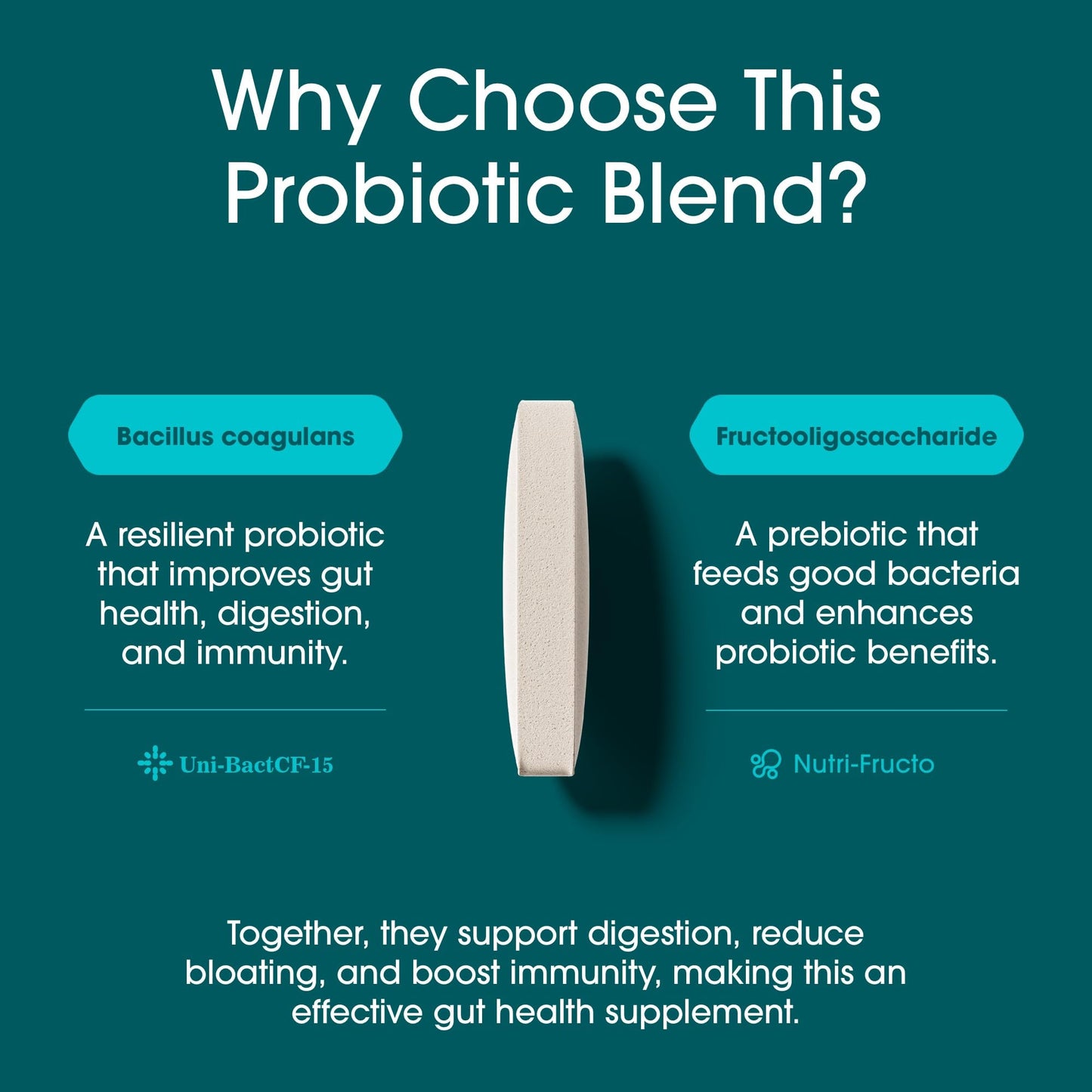 Nutrition Essentials Probiotics for Women and Men - Lactase Enzyme, Prebiotic Fiber, Vegan Formula