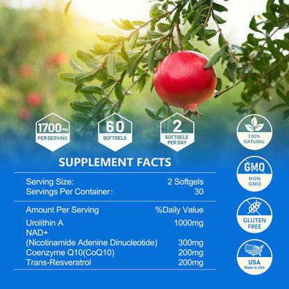 Urolithin A 1700mg with NAD+, CoQ10 & Trans-Resveratrol — 60 Softgels