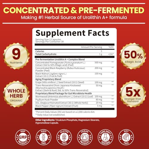 Triple-Strength Urolithin A+ Complex for Cellular Health, Function & Well-Being | Concentrated Pre-Fermented Urolithin A+ Plus Wormwood, Psyllium Husk & DGL for Gut Support–Plant Based, GMP, 60 Count