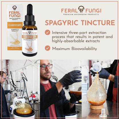 Feral Fungi Cordyceps Tincture – 100% Pure Mushroom Extract (USA Grown) 1 oz