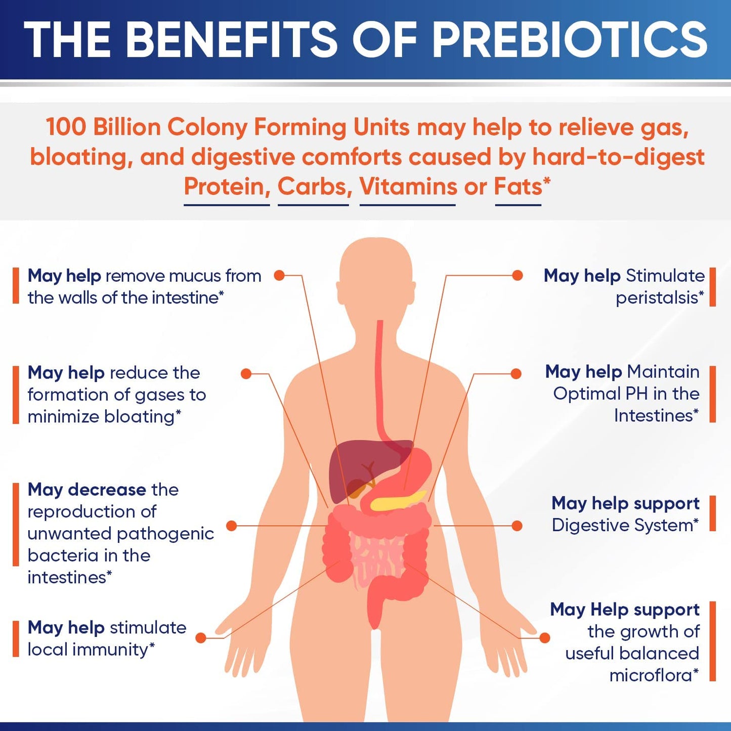 Wholesome Wellness Organic Raw Probiotics – 100B CFU, 30 Caps
