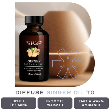 Brooklyn Botany Ginger Essential Oil – 100% Pure & Natural, Premium Grade, 1 Fl Oz