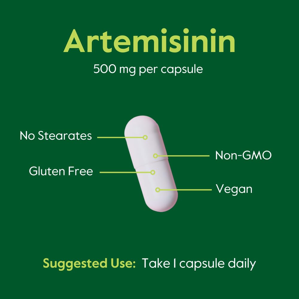 BESTVITE Artemisinin 500mg Capsule – 60 Vegetarian Capsules | No Fillers, Vegan, Gluten Free, Non-GMO