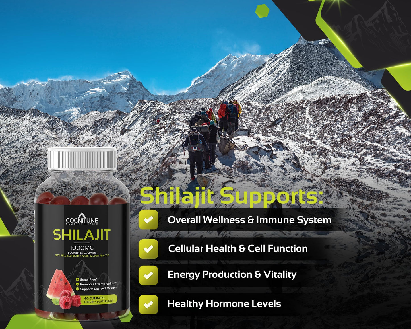 Shilajit Gummies 1000mg – Himalayan Shilajit with Fulvic Acid | Raspberry-Watermelon, Vegan, Sugar-Free