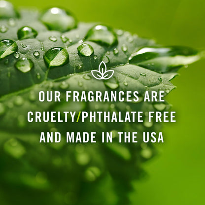 P&J Trading Almond Scented Oil 100ml – Fragrance for Candle & Soap Making