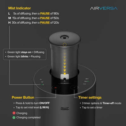 Waterless Diffuser Starter Kit – Ritz-C. Inspired 30mL Fragrance Oil | Battery-Operated Portable Scent Diffuser (Gold ANX)