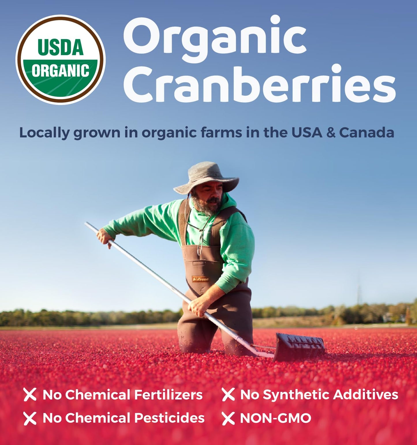 Organic Cranberry Extract Capsules — 50X Potency Cranberry Pills (4 Month Supply) — Vegan, Non-GMO, USDA Organic