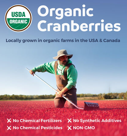 Organic Cranberry Extract Capsules — 50X Potency Cranberry Pills (4 Month Supply) — Vegan, Non-GMO, USDA Organic
