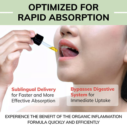 USDA Organic Inflammation Support – Turmeric Curcumin, Boswellia, Ginger Drops