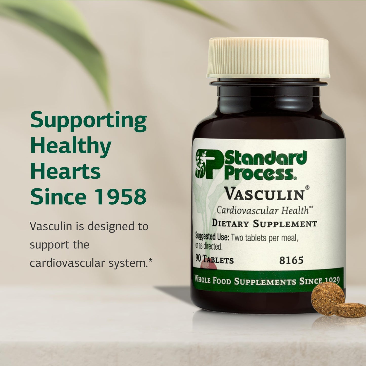 Standard Process Vasculin – Cardiovascular & Heart Health Support (90 Tablets)