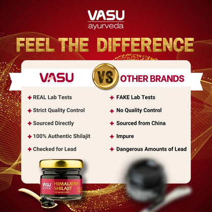 VASU Ayurveda Himalayan Shilajit Resin 400mg – Lab Tested Energy Booster (2-Pack)