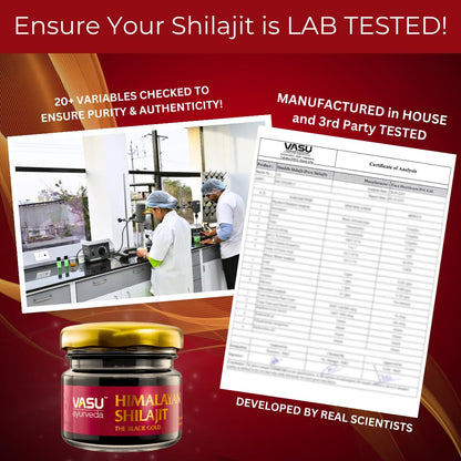 VASU Ayurveda Himalayan Shilajit Resin 400mg – Lab Tested Energy Booster (2-Pack)