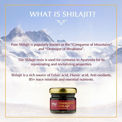 VASU Ayurveda Himalayan Shilajit Resin 400mg – Lab Tested | Natural Energy & 85+ Minerals