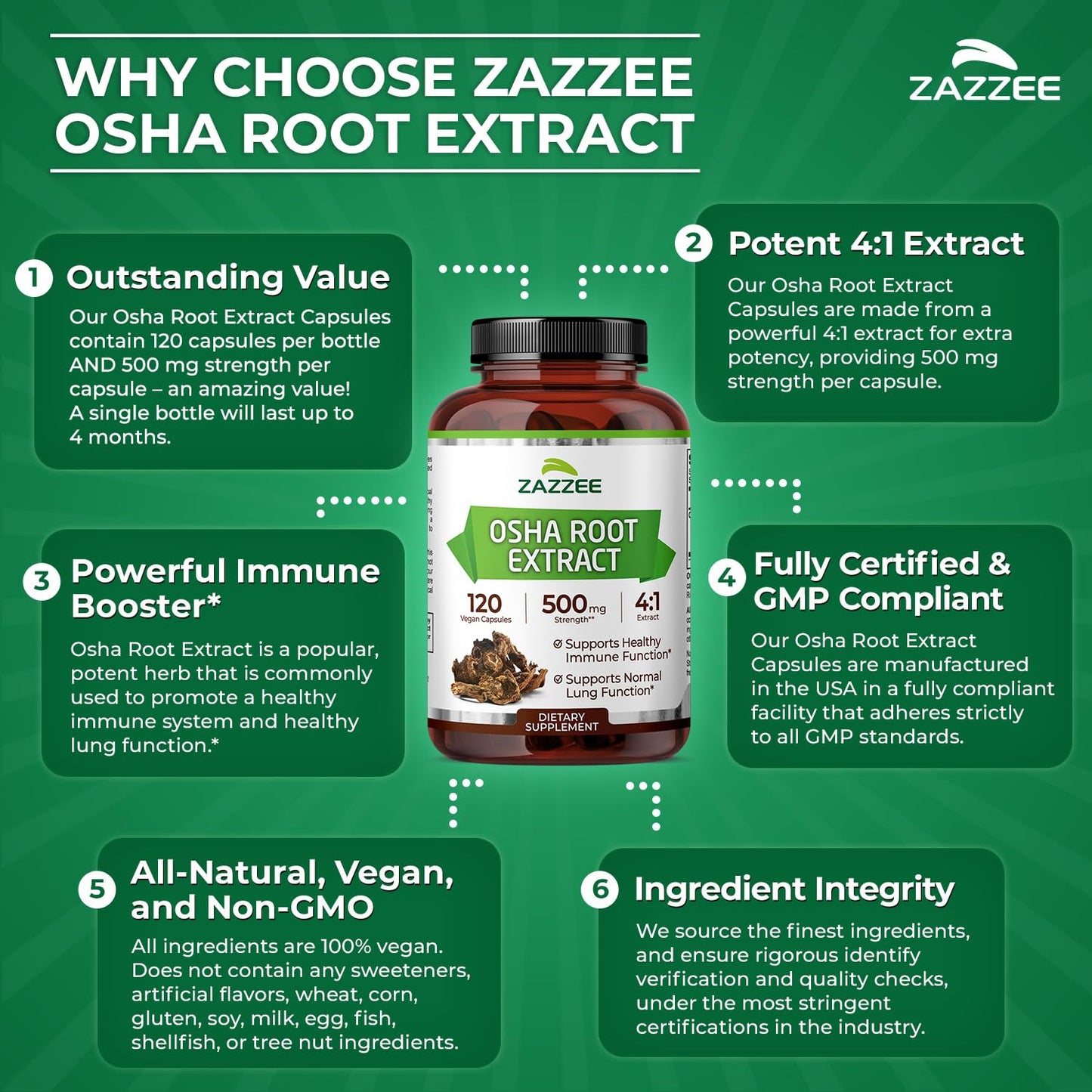 Zazzee OSHA Root 4:1 Extract - 500 mg, 120 Vegan Capsules, 4-Month Supply