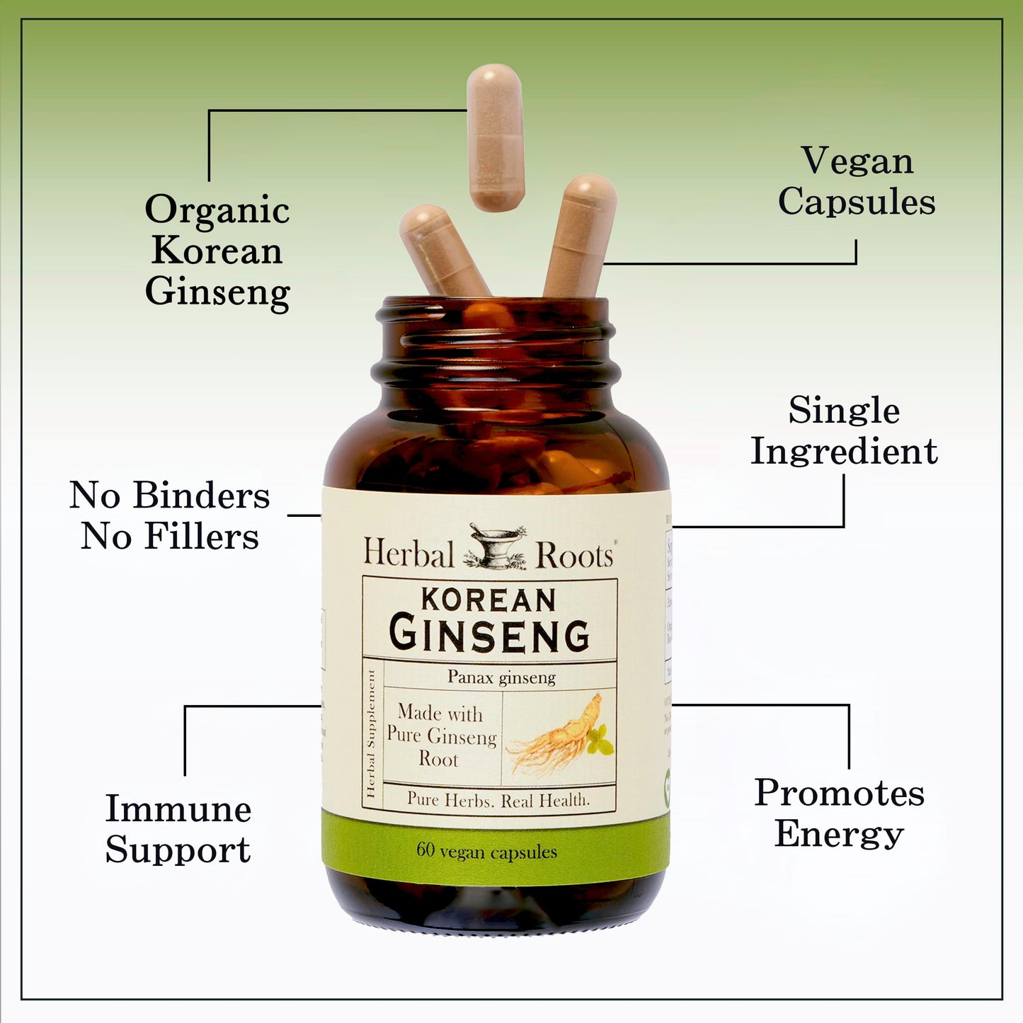 Herbal Roots Panax Ginseng | Organic Korean Ginseng Root Powder 1000mg | High Ginsenosides for Energy & Performance | 60 Vegan Capsules