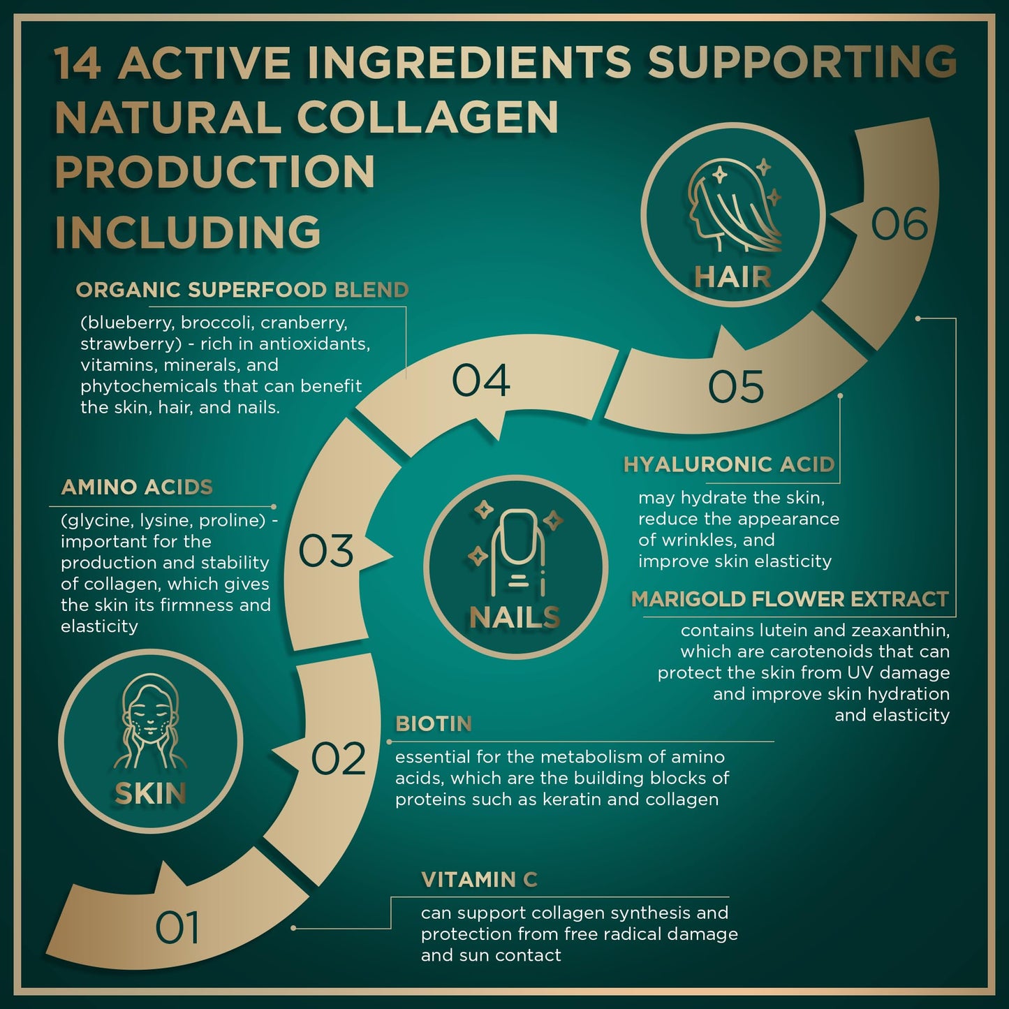 WILD FUEL Vegan Collagen Booster Tablets — Cruelty-Free Plant-Based Support for Skin, Hair & Nails (2-Pack)
