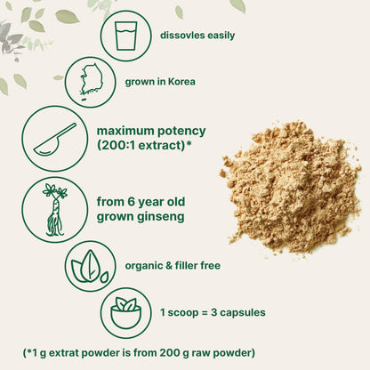 Micro Ingredients Organic Korean Ginseng Powder 200:1 - 4 oz | Red Panax Ginseng, High Ginsenosides