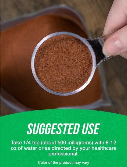 Cocoa Bean Extract Powder 500mg - Unsweetened, Vegan, Gluten Free | 500g | BulkSupplements