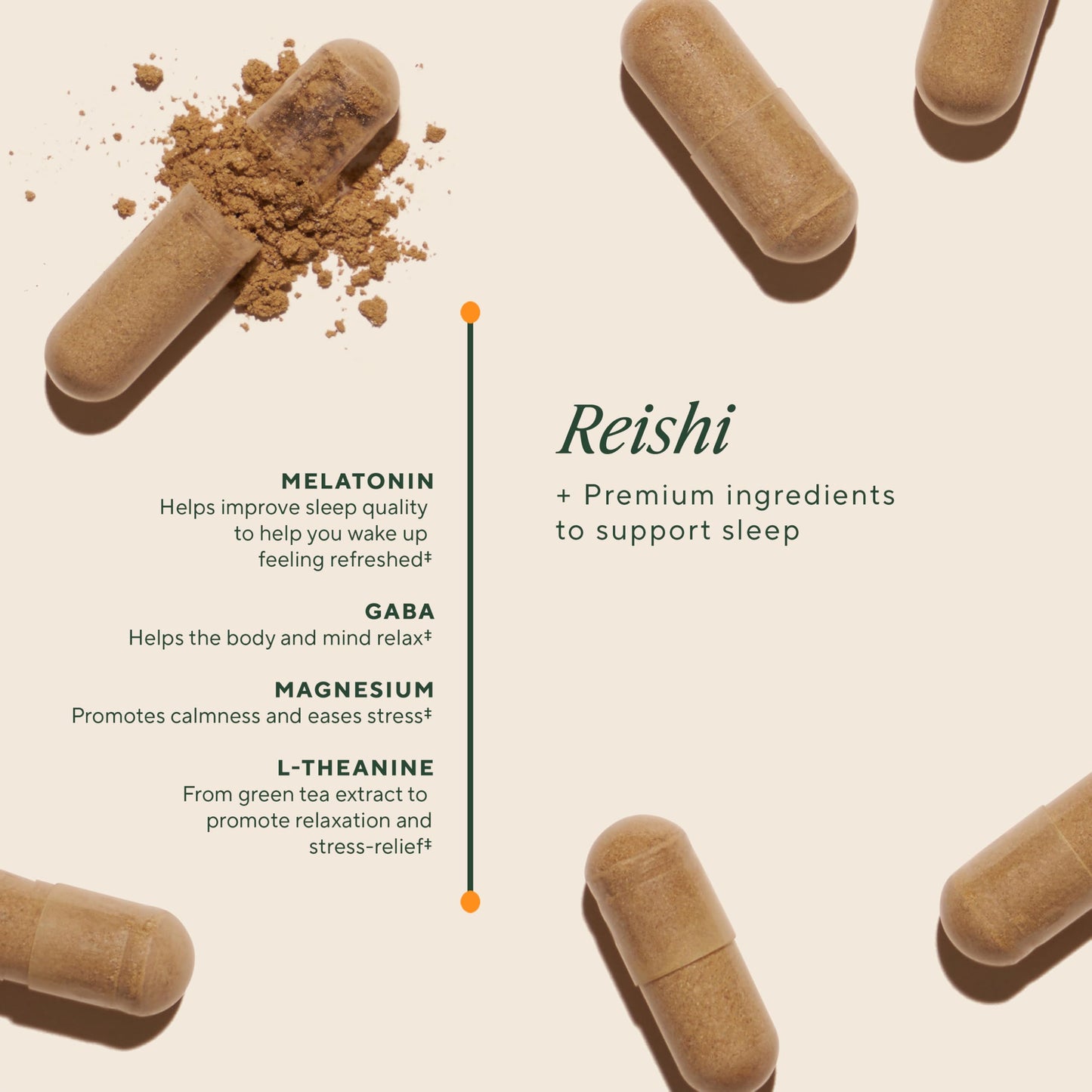 OM Mushroom Sleep Capsules - Reishi, GABA, L-Theanine, Melatonin | 90 Count