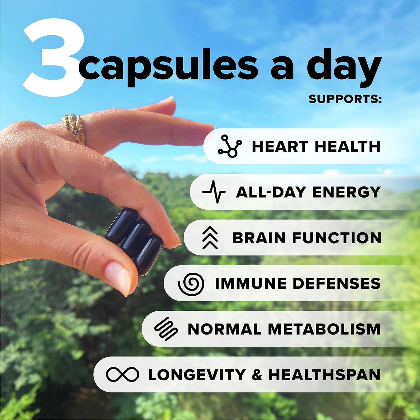 Complement Essential Vegan Multivitamin for Men & Women | Omega-3 DHA/EPA, D3 & K2