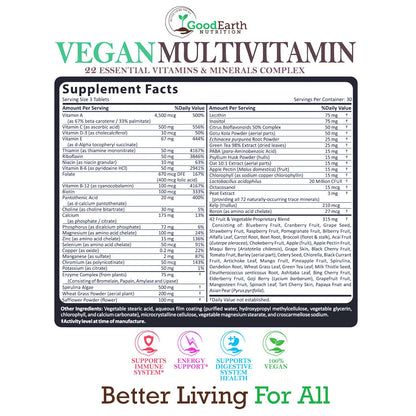 Vegan Multivitamins for Men & Women – Daily Multivitamin with A, B, C, D3 & Zinc