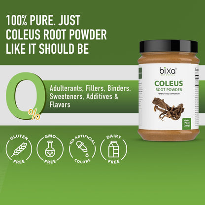 Bixa Botanical Coleus Forskohlii Root Powder – Forskolin-Rich, Lab-Tested, Vegan, Non-GMO (200g/7oz)