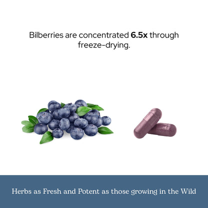 Eclectic Herb Bilberry Capsules | Vision Health & Cardiovascular Support | Vegan, Non-GMO