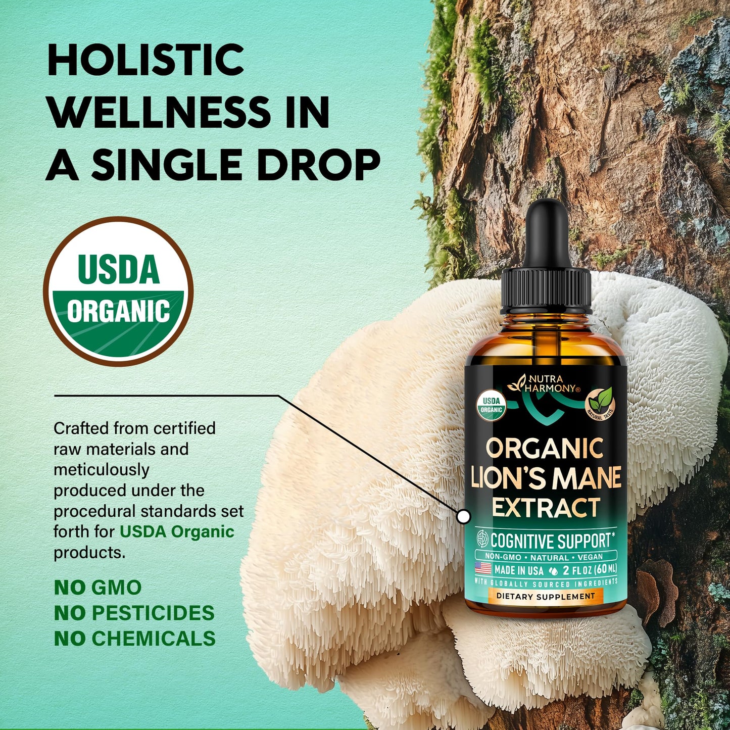 Lions Mane Liquid - USDA Organic Lion's Mane Supplement for Brain Support, Memory & Focus – 72,000 mg / Bottle, 2 fl oz