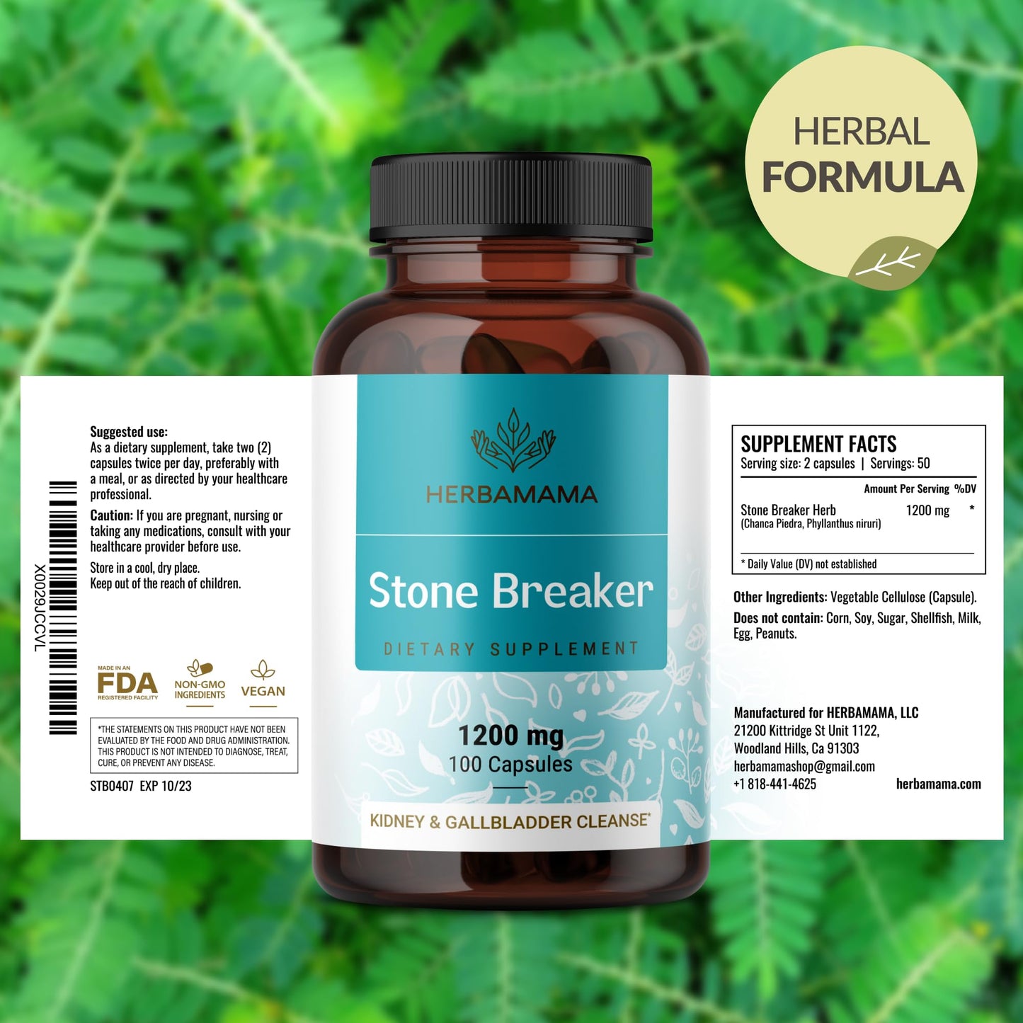 HERBAMAMA Chanca Piedra 1200mg – Kidney Stone Breaker, Gallbladder & Urinary Support (Pack of 2) – Vegan, Non-GMO