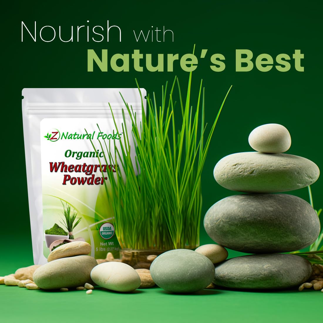 Organic Wheatgrass Powder - Bulk 5 lb - 100% Pure, Raw, Non-GMO, Vegan | Green Superfood