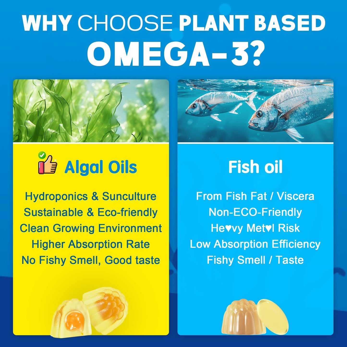 EnvyCure Vegan Omega-3 Gummies 1000mg + CoQ10 + Magnesium – EPA 600mg DHA 400mg, Liposomal Algae, 2-Pack