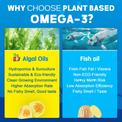 EnvyCure Vegan Omega-3 Gummies 1000mg + CoQ10 + Magnesium – EPA 600mg DHA 400mg, Liposomal Algae, 2-Pack