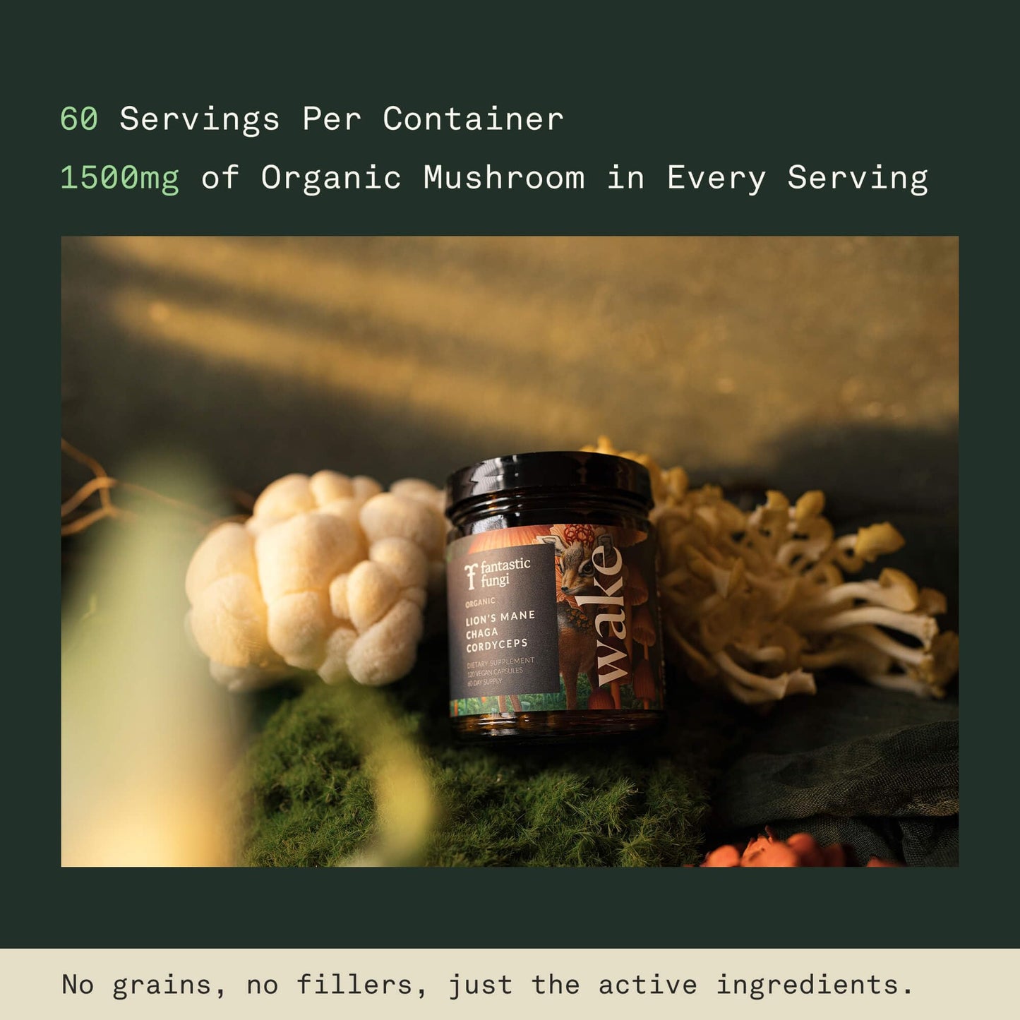 Mushroom Supplement with Lions Mane, Chaga & Cordyceps – USDA Organic, Vegan, 120 Caps (2-Month Supply)