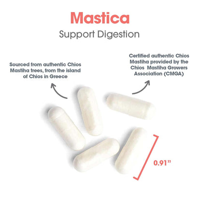 Allergy Research Group Mastic Gum - Chios Matisha GI Health, Hypoallergenic Capsules (60 Count)