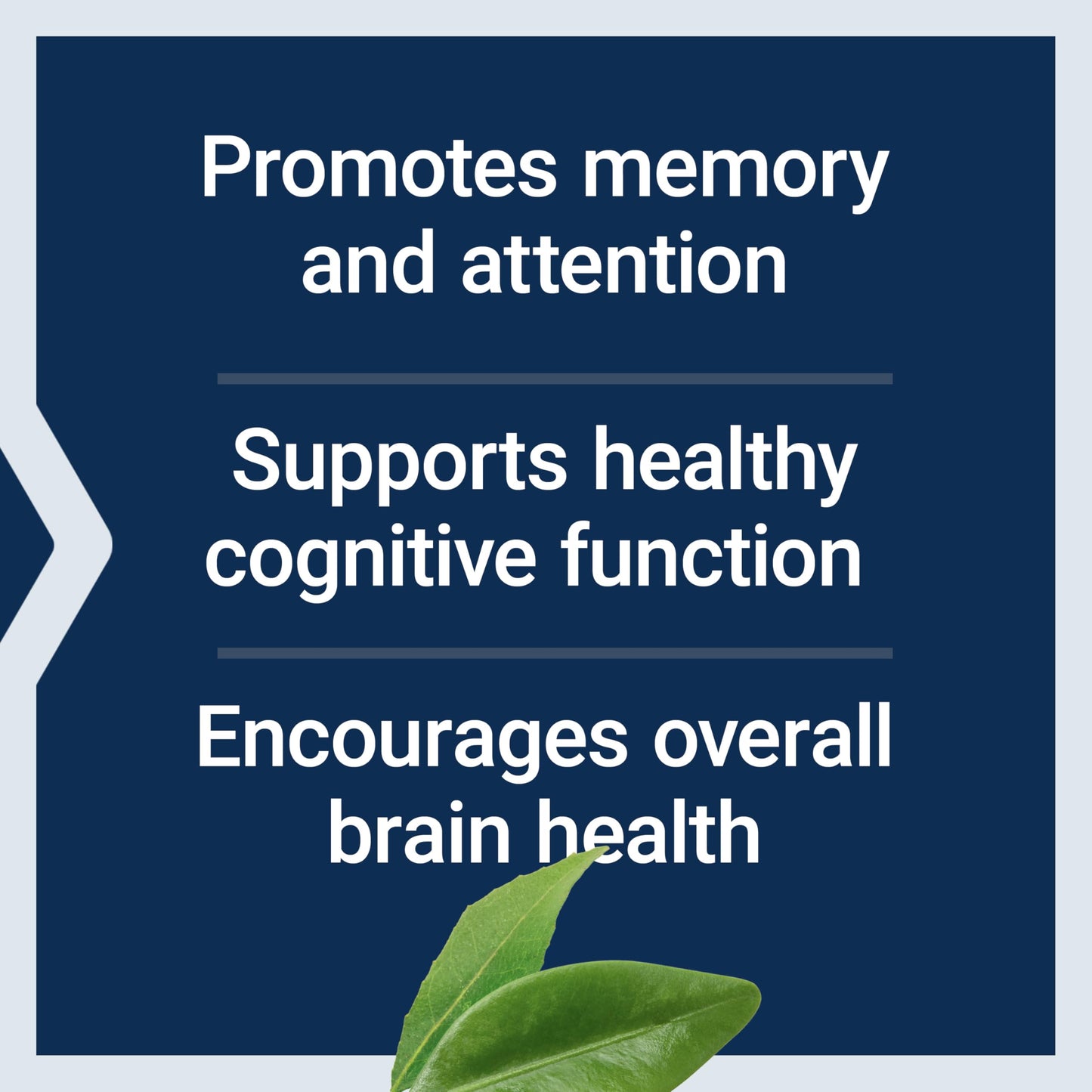 Life Extension Citicoline (CDP-Choline) – 60 Vegetarian Capsules