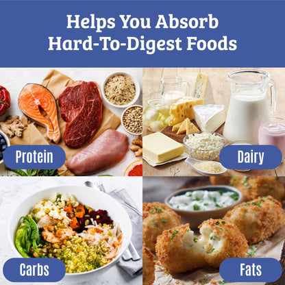 Best Digestive Enzymes for Women & Men – Lactase, Lipase, Amylase, Bromelain | Gallbladder Support