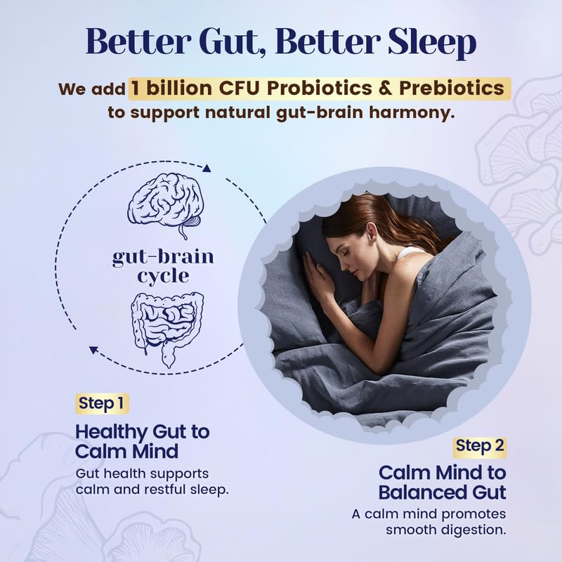 Venture Pal Mushroom Cocoa Powder with Melatonin 3mg – Sleep Support