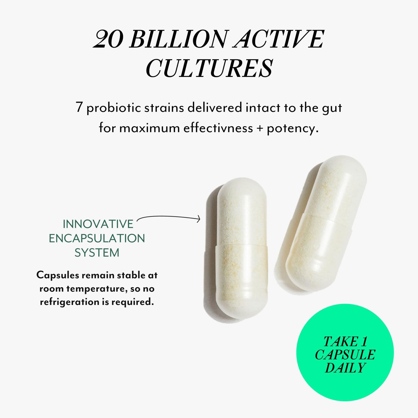 Veracity Metabolic Defense Probiotic – Digestive Health & Immunity (30 Capsules)