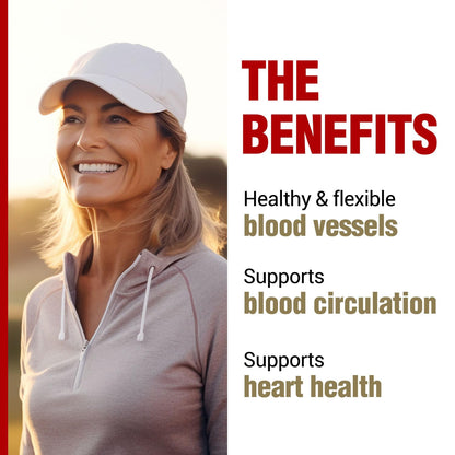 LABO Nutrition VesseCLEAR EX: Nattokinase NSK-SD + Elastin F | Acid-Resistant Capsule