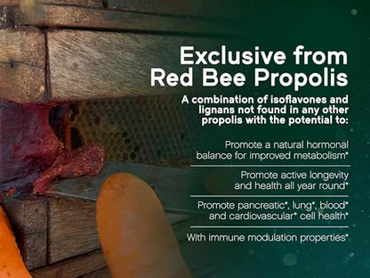 NaturaNectar Red Bee Propolis Capsules – NSF Certified, Gluten-Free (60pcs)