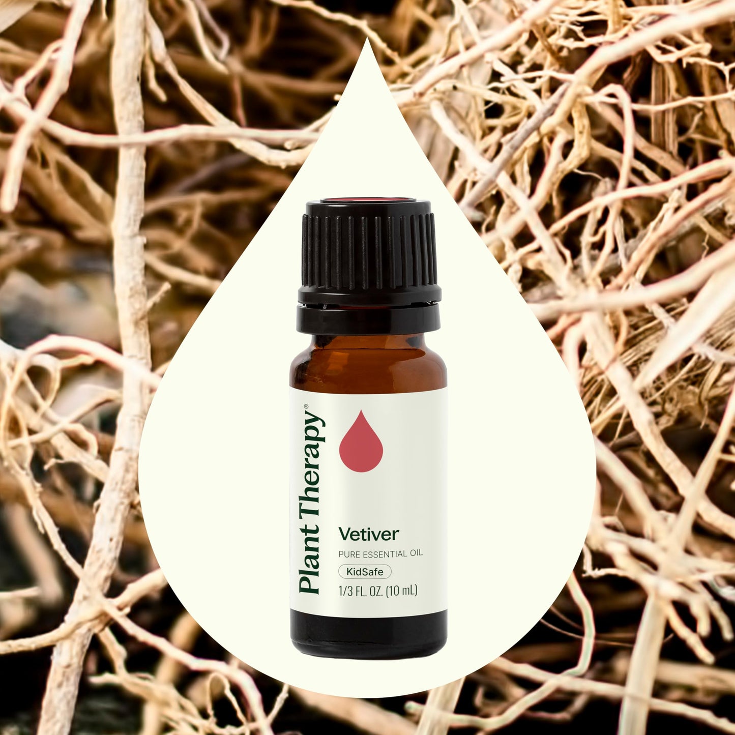 Plant Therapy Vetiver Essential Oil - 100% Pure, Therapeutic Grade, 10 mL