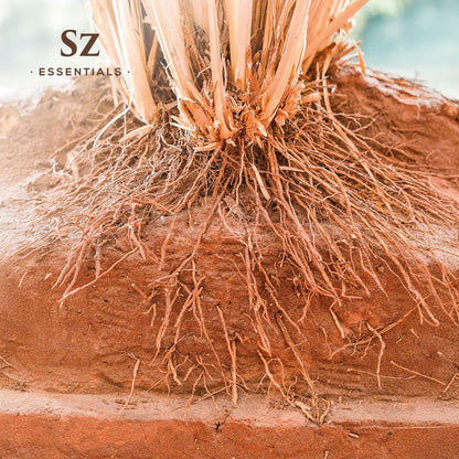 Sz Essentials Vetiver Essential Oil - 100% Pure & Undiluted (5 mL) | Therapeutic Grade