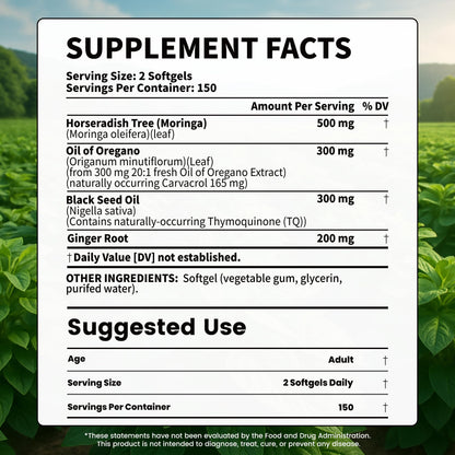 VEV 300mg Oil of Oregano with Black Seed Oil & Moringa – Organic Carvacrol-Rich Softgels