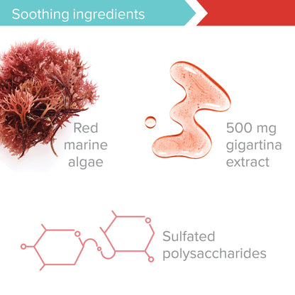 Vibrant Health: Gigartina Red Marine Algae – Plant-Based Immune Support, 60 Capsules (FFP)