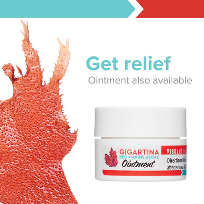 Vibrant Health: Gigartina Red Marine Algae – Plant-Based Immune Support, 60 Capsules (FFP)