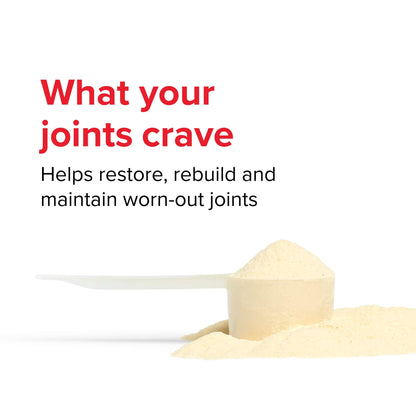 Vibrant Health Joint Vibrance – Comprehensive Joint & Cartilage Support (Orange Pineapple, 21 Servings)