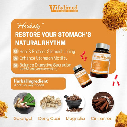 VIFADIMED Stomach Plus – Stomach Lining Support with Galangal, Dong Quai, Cinnamon & Magnolia (45 Capsules)
