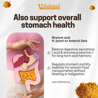 VIFADIMED Stomach Plus – Stomach Lining Support with Galangal, Dong Quai, Cinnamon & Magnolia (45 Capsules)