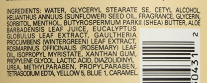 Village Naturals Therapy Muscle Lotion – Shea Butter, Eucalyptus Mint (16 oz, 3-Pack)