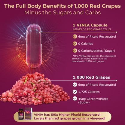 VINIA Piceid Resveratrol Supplement | Supports Blood Flow, Nitric Oxide, and Heart Health - Non-GMO, 60 Count